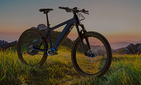 Cheetah Bikes