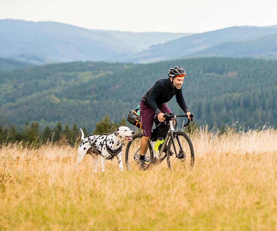 Overnighter-mit-Hund-2