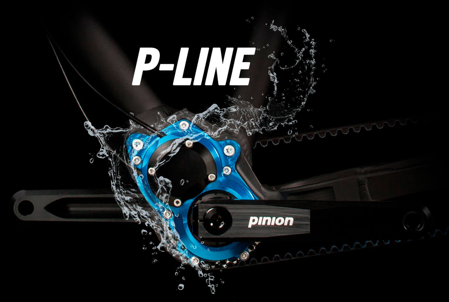 P-Line-Header