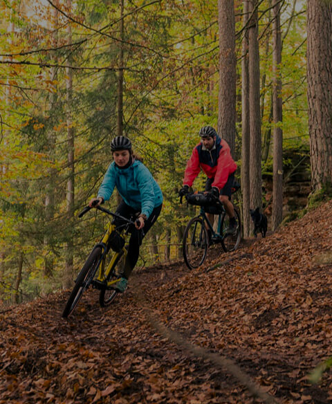 Tout Terrain
